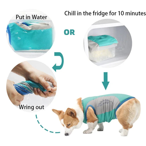 Cool Comfort Dog Vest