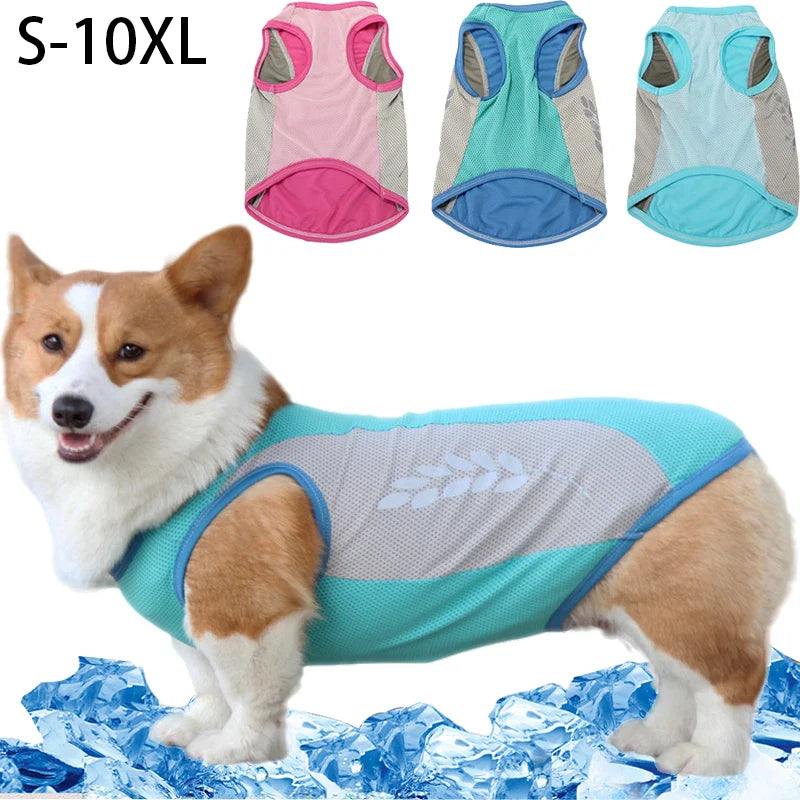 Cool Comfort Dog Vest