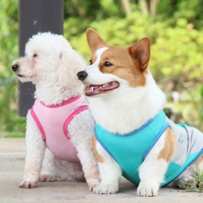 Cool Comfort Dog Vest